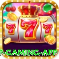 73m VIP Gaming App