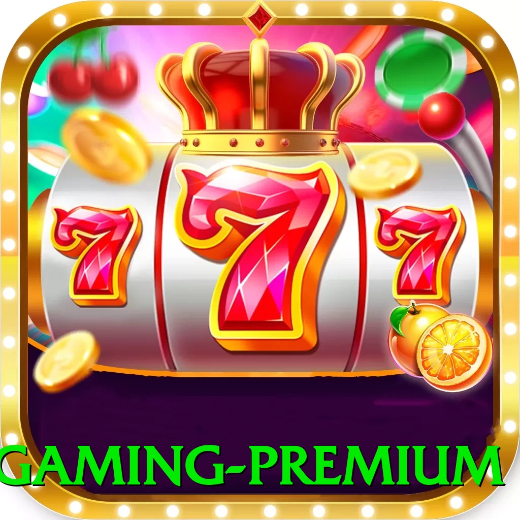 fbmbet Gaming Premium - game